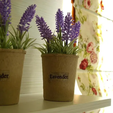 Filia's House Case de vacanță