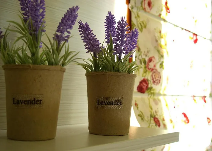 Filia's House Casa de Férias